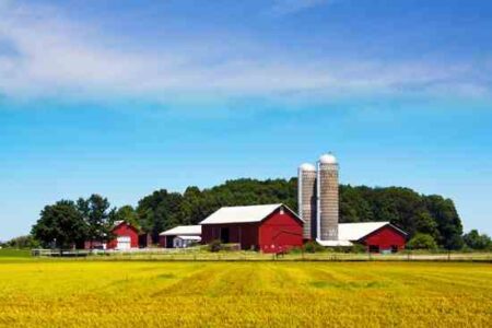 The Owner Built Home and Homestead: Building an Organic Ecosystem Image